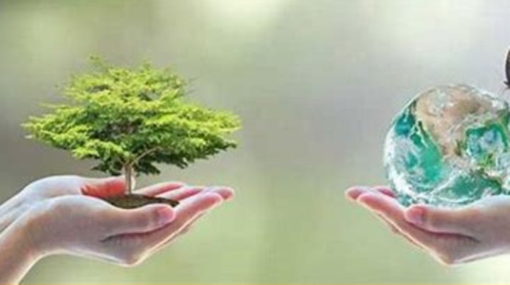 البيئة تستعد لإطلاق لوحة بيانات للمؤشرات البيئية الوطنية