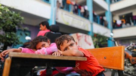 9241 طالب فلسطيني استشهدوا منذ بدء العدوان على غزة