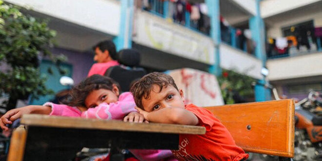 التربية الفلسطينية: 9241 طالباً استشهدوا منذ بدء الاحتلال عدوانه على قطاع غزة