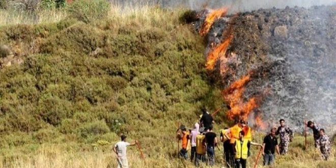 مستوطنون يحرقون مساحات من الأراضي الفلسطينية غرب رام الله