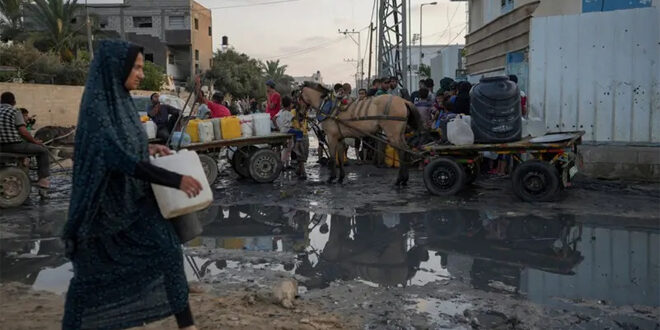 الأونروا: 40 ألف إصابة بالتهاب الكبد الوبائي في قطاع غزة