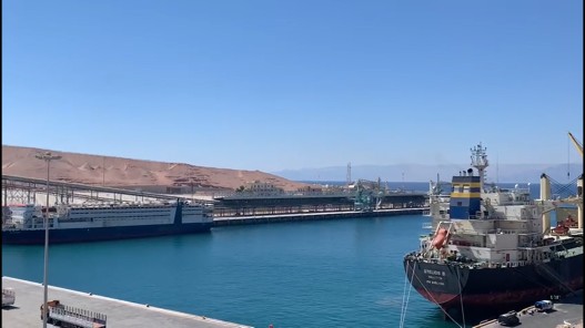 1238 باخرة رست على أرصفة ميناء العقبة الجديد وميناء الركاب في 2024