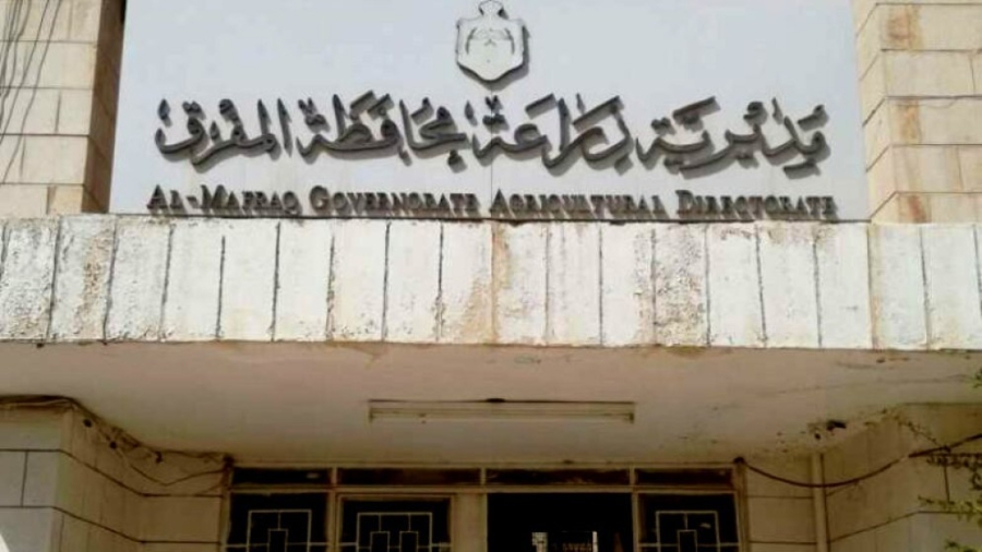 مديرية زراعة المفرق: سلمنا 241 بئرا لجمع مياه الأمطار