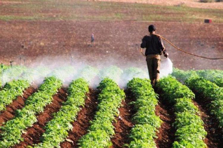 بحث مطالب تجار ومنتجي المواد الزراعية