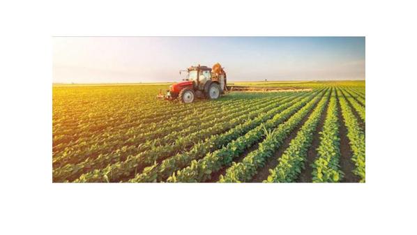 «التنمويـة الزراعيـة بالأغـوار».. تستقطب الاستثمارات وتوفر فرص العمل