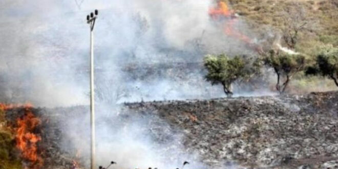 مستوطنون يحرقون أراضي فلسطينية ومنازل شرق رام الله