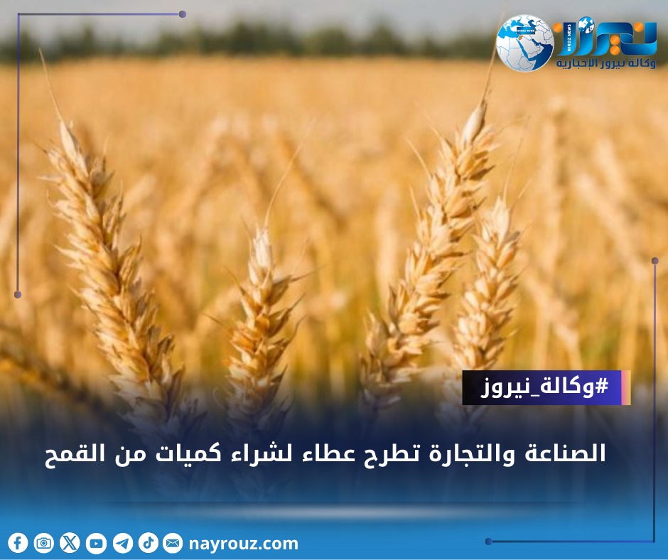 الصناعة والتجارة تطرح عطاء لشراء كميات من القمح