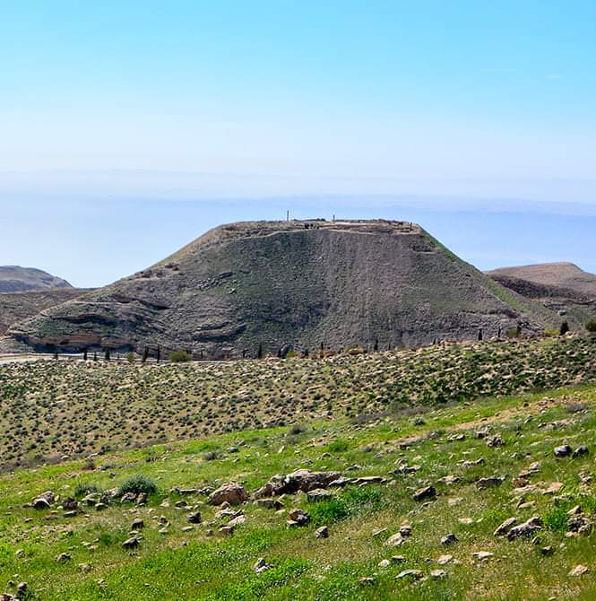مكاور ... صهيل المدى