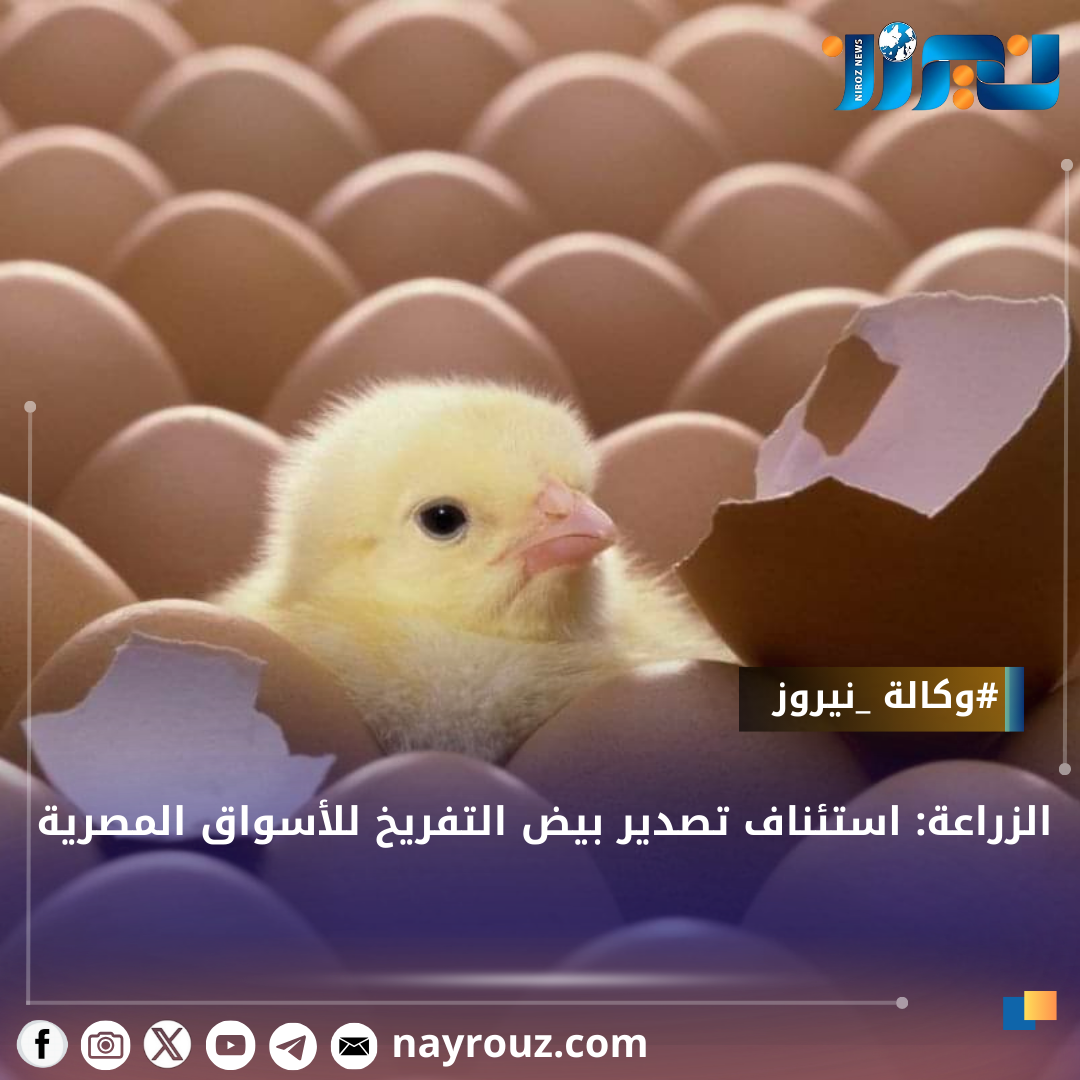 الزراعة: استئناف تصدير بيض التفريخ للأسواق المصرية