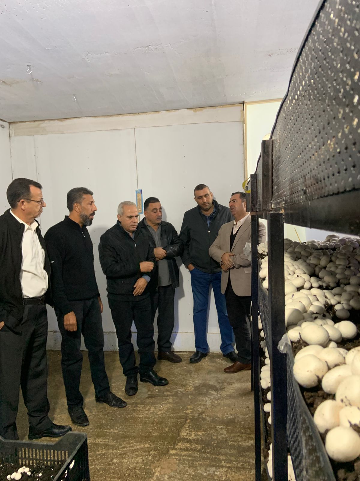 عبيدات يعلن  بدء موسم انتاج فطر الاجاراكس في مزرعة حاضنة الوسطية