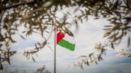 رئيس الوزراء: تهجير الفلسطينيين من وطنهم خط أحمر