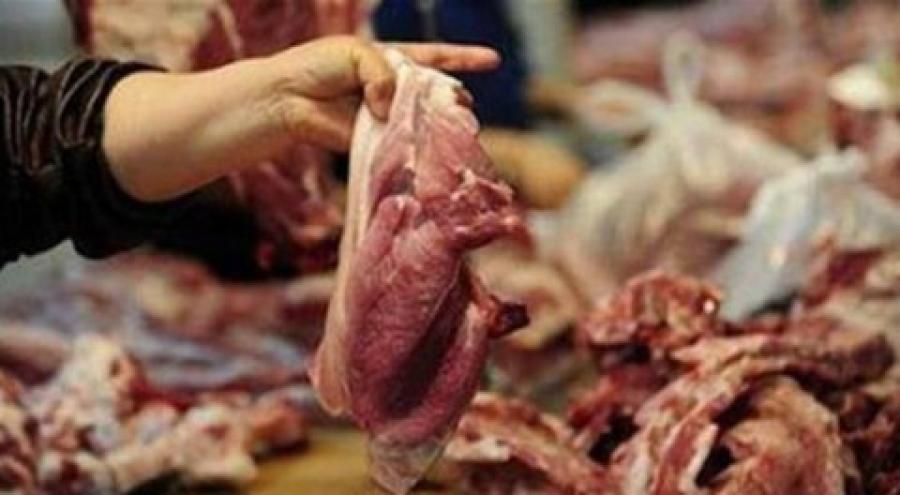النائب عطية يطالب بكشف أسماء شركات اللحوم الفاسدة .. والصفدي يرد: التزم بالنظام الداخلي