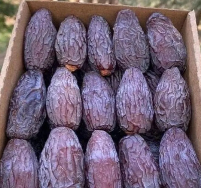 الزراعة تنفي الشائعات حول التمور الأردنية وتؤكد جودة المنتج المحلي