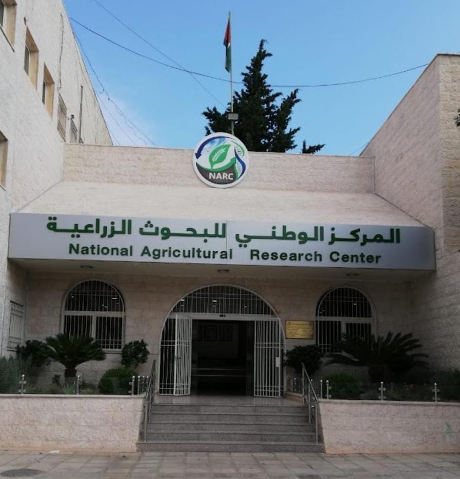 ابوحمور : تحويل ٩ قضايا لهيئة النزاهة وإعادة تقييم لأنجازات المراكز البحثية والمحطات