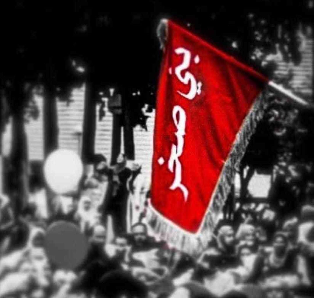 أبناء قبيلة بني صخر نحن مع الشعب الفلسطيني