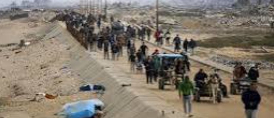 النرويج: نرفض تهجير الفلسطينيين من أرضهم