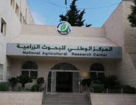 دورة تدريبية افتراضية لتعزيز التكنولوجيا الحيوية الزراعية في النباتات المعدلة وراثيا