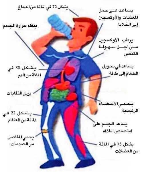 فوائد الماء لجسمك وصحتك