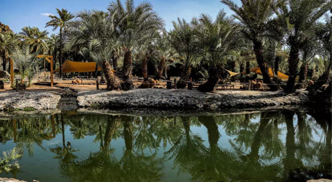 خيبر: تاريخ طويل وموقع استراتيجي في قلب الجزيرة العربية