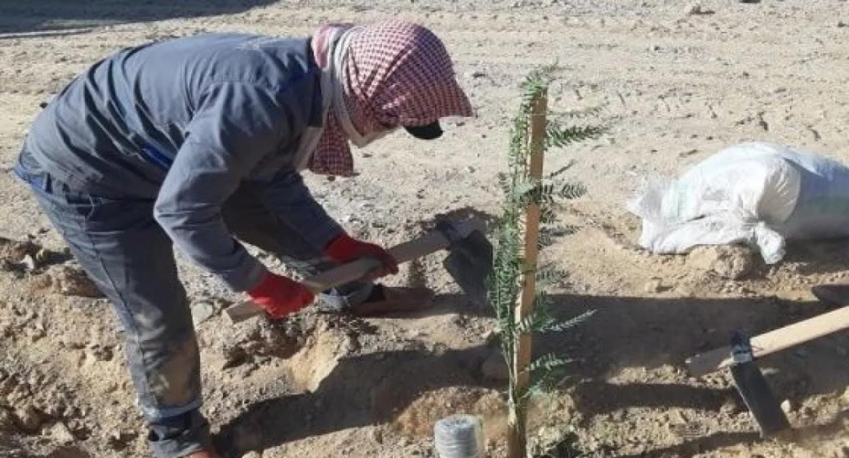 اتفاقية لتحريج جوانب الطرق في المفرق