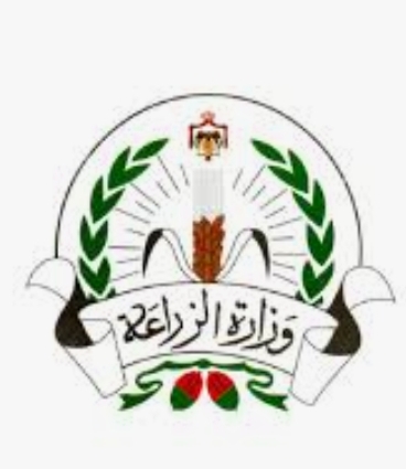 الزراعة توقع اتفاقية لتجهيز مركز تعبئة وفرز الحمضيات والخضراوات