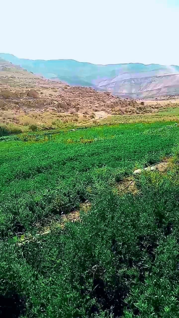 وادي النخيلة.. جنة زراعية وسياحية في جنوب الأردن
