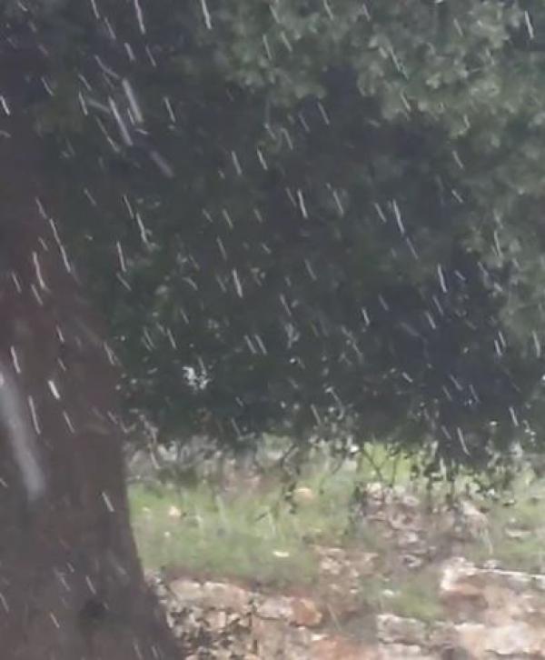 بدء هطول حبيبات ثلجية في عجلون وضاحية الرشيد بالعاصمة عمان
