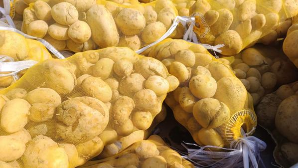 ضبط نصف طن بطاطا غير صالحة للأستهلاك في اربد