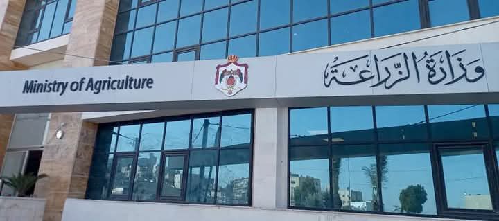 الزراعة تفتح استيراد الكلمنتينا والبطيخ وتبقي على وقف استيراد الليمون