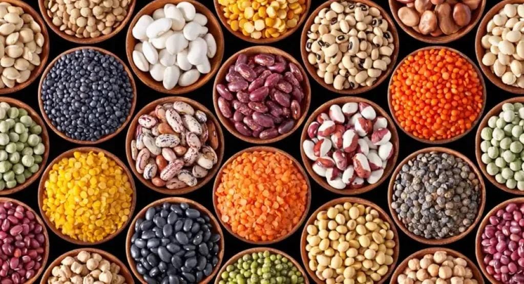 كنز غذائي يخفض السكر والكوليسترول ويحسن صحة الجهاز الهضمي