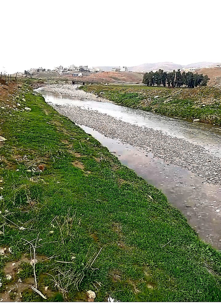 المشهد في سيل الزرقاء.. تدفق المياه يعيد الحياة إلى المجرى