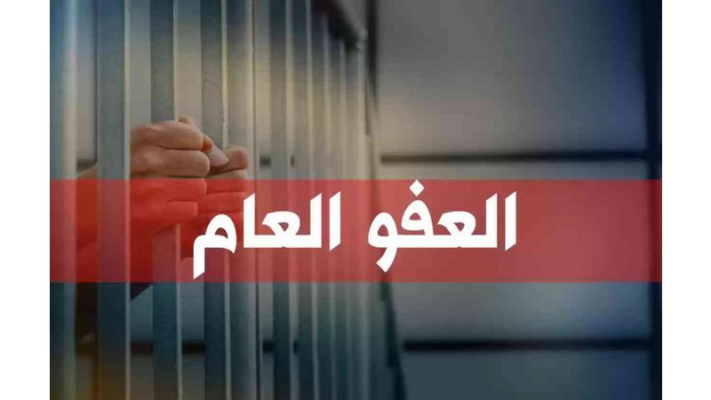 الحريات النيابية : دراسة قانون العفو العام بشكل دقيق