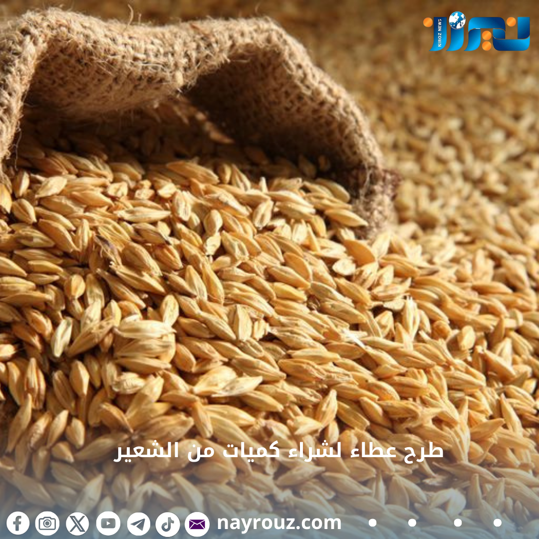 طرح عطاء لشراء كميات من الشعير