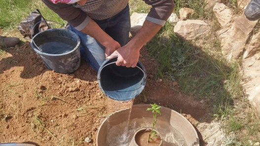 وزير الزراعة: نسعى لإنتاج 5 ملايين شرنقة سنويا