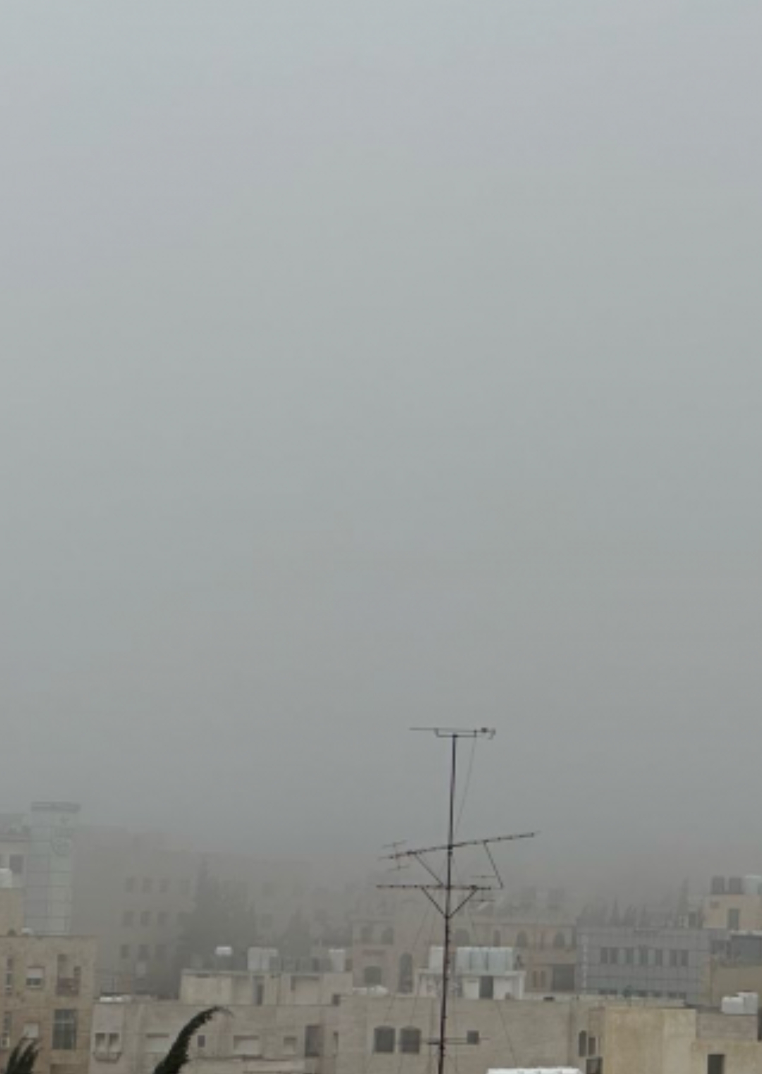 شوارع عمان تشهد تشكل ضبابًا كثيفًا