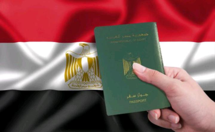 الحكومة المصرية تمنح جنسيتها لعدد من الأجانب