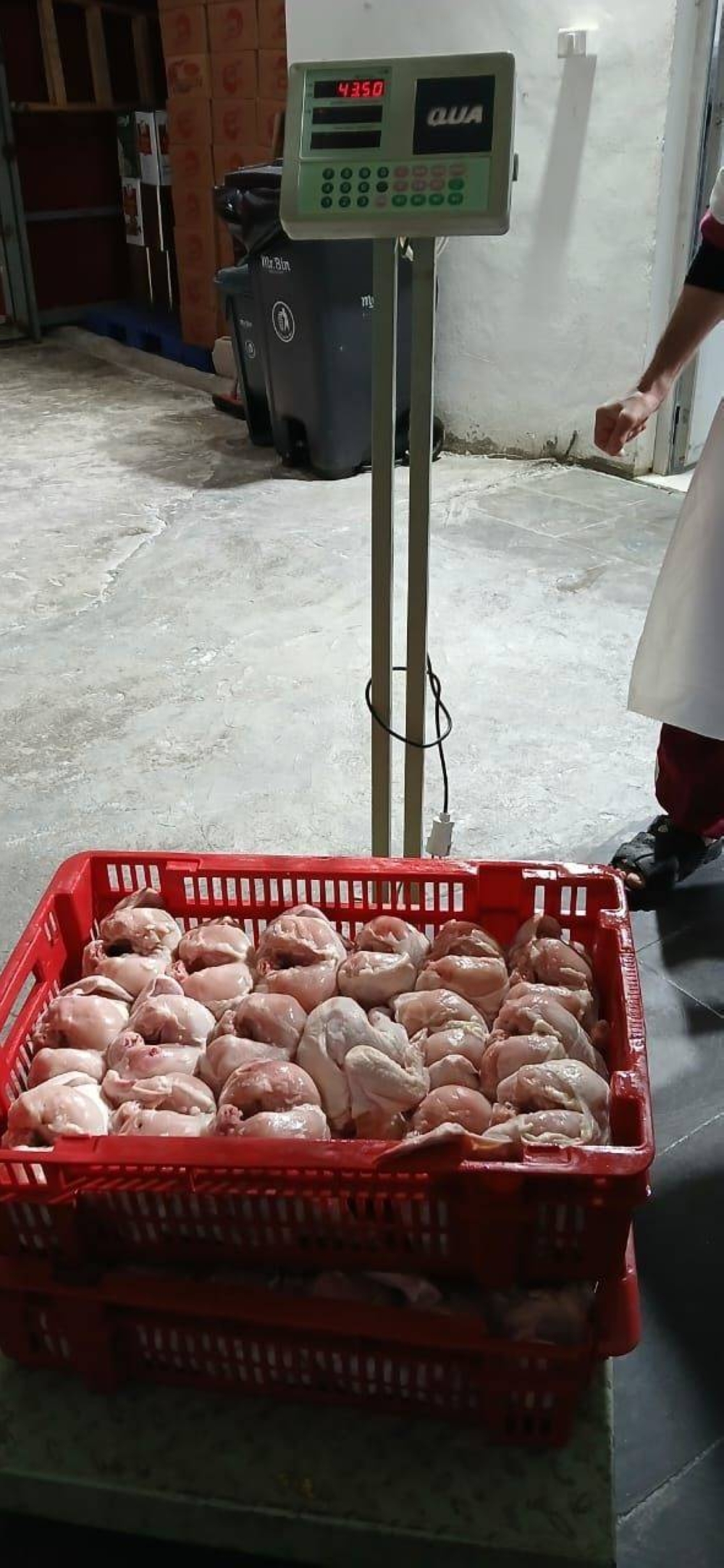 بلدية الكرك تضبط 81 كيلو غرامًا من لحوم  الدواجن الفاسدة