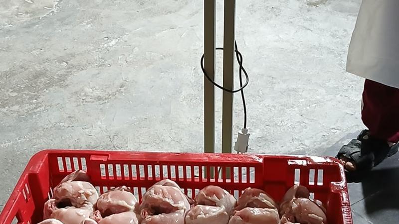 الكرك .. ضبط 81 كيلو غرام دجاج فاسد داخل أحد المطاعم