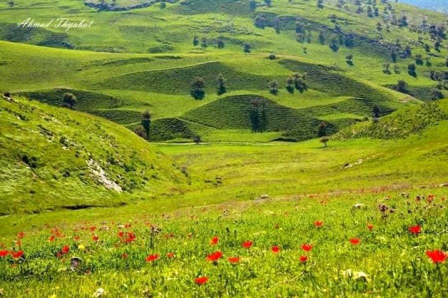 مختصون جويون : اخر المعطيات تشير إلى انسحاب الكتلة الهوائية شديدة البرودة