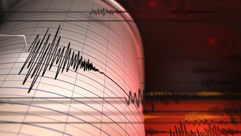 زلزال بقوة 6.7 درجة يضرب جزيرة ساوث آيلاند في نيوزيلندا