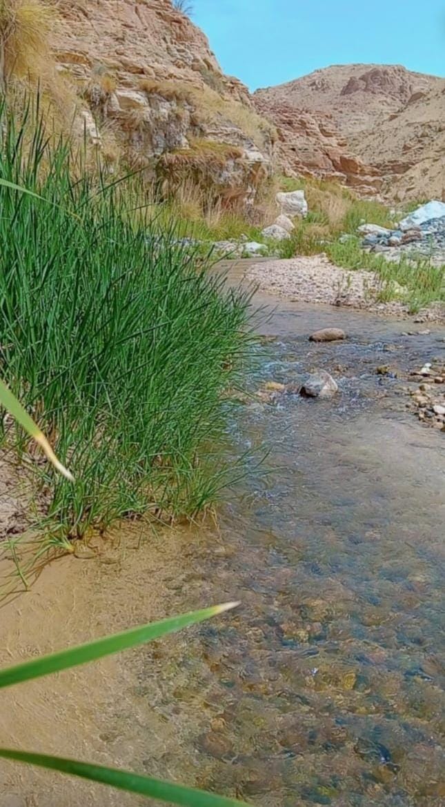 وادي الموجب.. أعجوبة طبيعية تجمع بين الجمال والتنوع البيئي في قلب الأردن