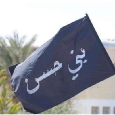 الدغمي وعشائر بني حسن يستنكرون الأعمال الإرهابية