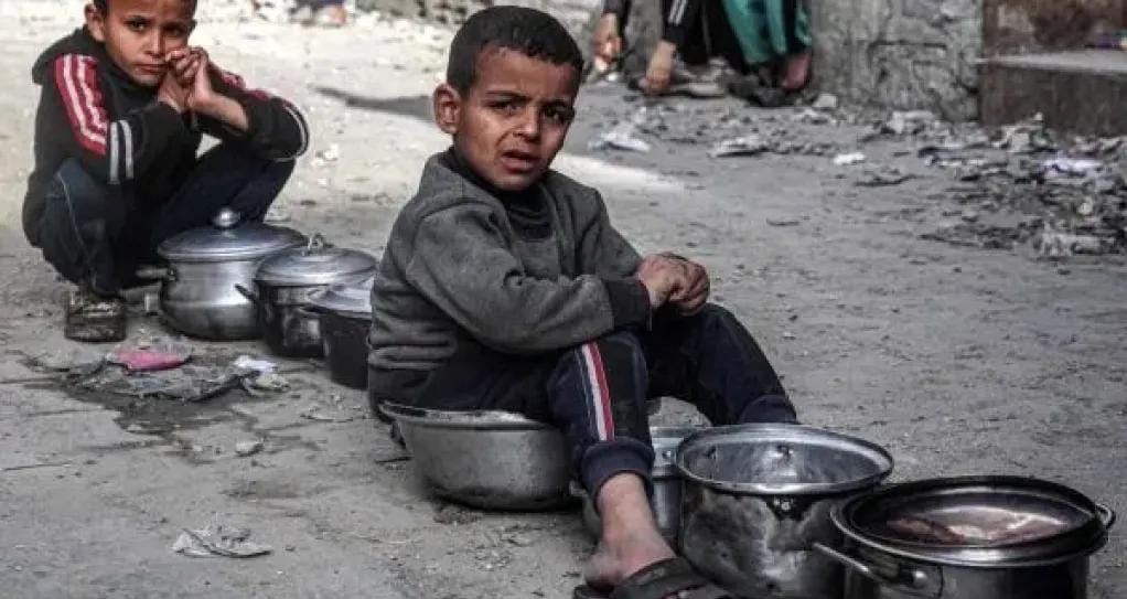 أزمة غزة.. الفلسطينيون يلجأون إلى لحم السلاحف في ظل نقص الغذاء