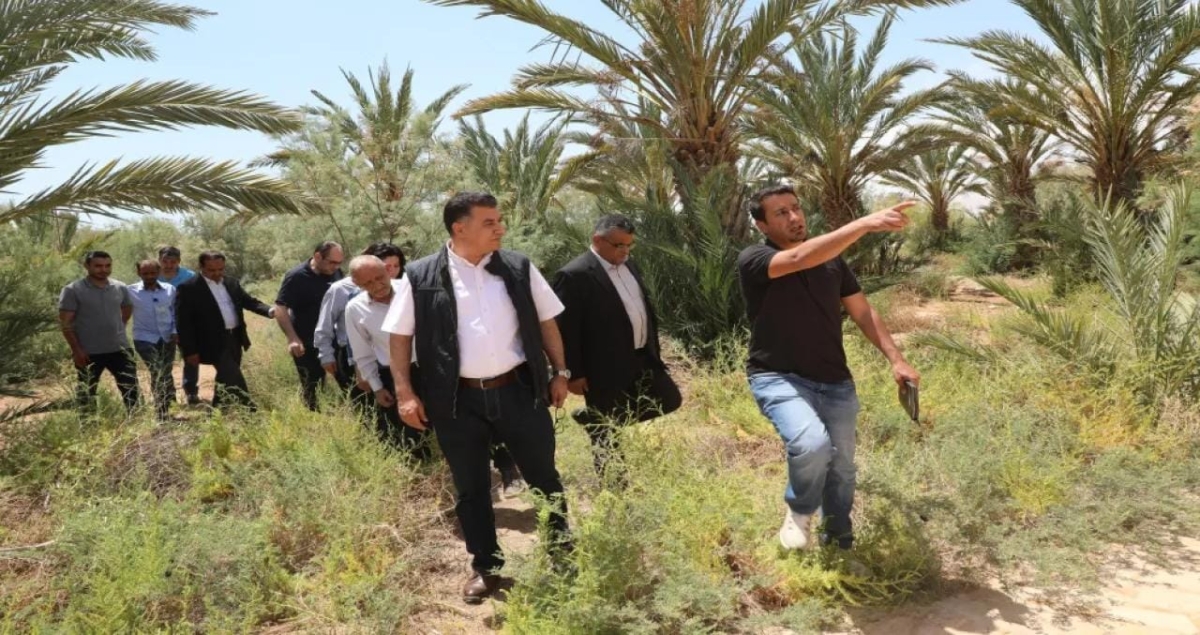 الزراعة: لن نسمح بوصول الاسمدة العضوية غير المعالجة لوادي الأردن