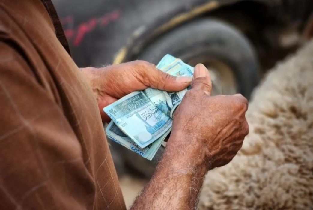 الضمان الاجتماعي توضح شروط تقاعد الشيخوخة وآلية تقديم الطلب إلكترونيًا