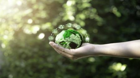 تقرير الربع الأول: إنجازات بارزة في الاقتصاد الأخضر بالأردن