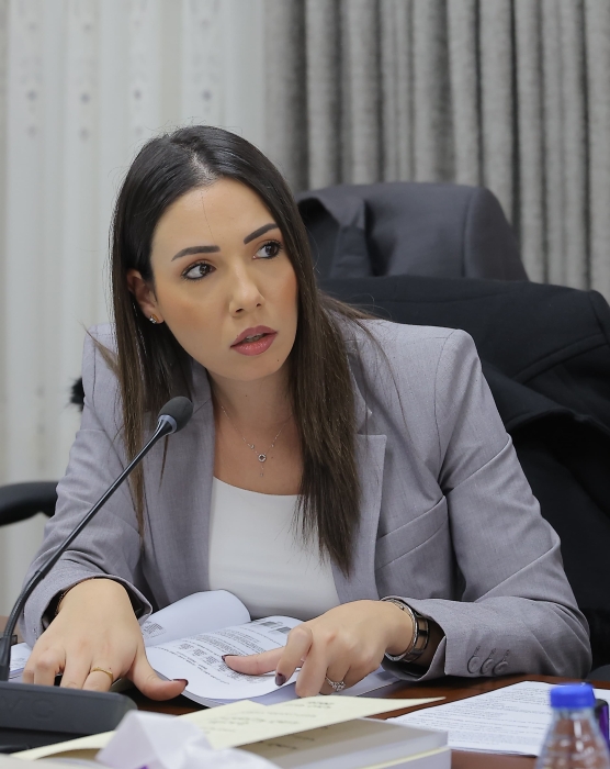 النائب الخزوز تستنكر الحملات الإعلامية المغرضة ضد الجهد الإغاثي الأردني لغزة