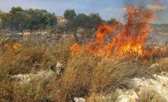 السيطرة على حريقين للأشجار والأعشاب في لواء الكورة