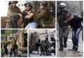 قوات الاحتلال تعتقل 19 فلسطينيا بالضفة الغربية