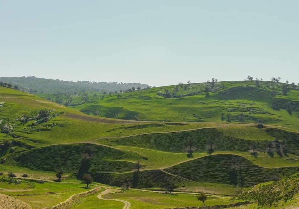 طقس معتدل الحرارة اليوم و كتلة هوائية حارة  غدًا